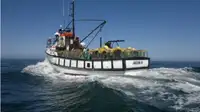 Trawler rao bán