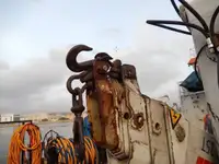 Tàu làm việc để bán