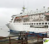 Tàu du lịch để bán