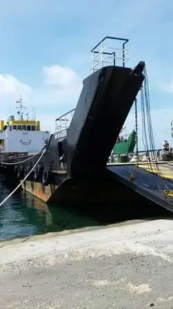 Tàu đổ bộ, chở hàng để bán