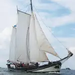Du thuyền để bán