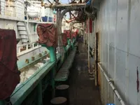 Tàu câu mực để bán