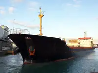 Tàu chở hàng rời để bán