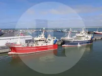 Tàu đánh cá để bán