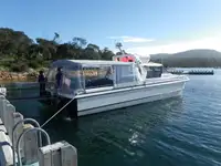 Catamaran rao bán