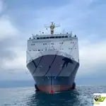 Tàu Ro-Ro để bán