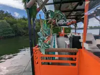 Tàu du lịch để bán