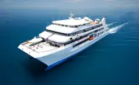 Catamaran rao bán