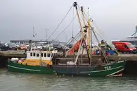 Trawler rao bán