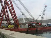 Cần cẩu tàu rao bán
