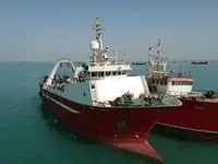 Tàu kéo lưới để bán