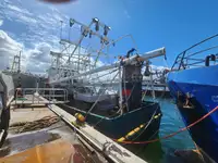 Tàu kéo lưới để bán