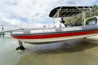 Tàu lưỡng cư để bán