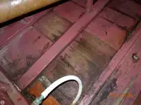 Tàu đánh cá để bán