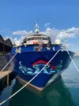 Tàu phà rao bán