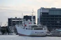 Tàu kéo lưới để bán