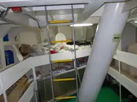 Tàu chở hàng rời để bán