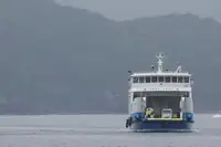 Tàu Ro-Ro để bán