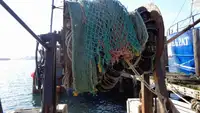Tàu kéo lưới để bán
