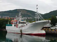 Trawler rao bán