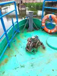 Tàu làm việc để bán
