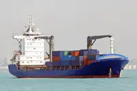 Tàu container rao bán