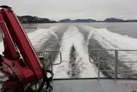 Tàu làm việc để bán