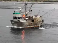 Longliner rao bán