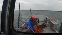 Tàu đổ bộ, chở hàng để bán