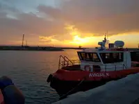 Tàu làm việc để bán