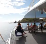 Catamaran rao bán