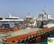 Tàu dịch vụ trang trại điện gió để bán