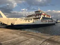 Ro-Ro ship rao bán