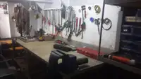 General Cargo/Multi-purpose để bán