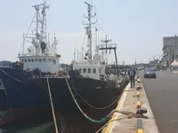 Tàu kéo lưới để bán