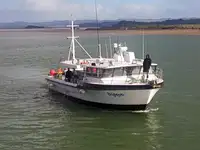 Tàu câu dài để bán