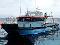 Tàu container rao bán