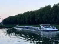 Tàu chở hàng rời để bán