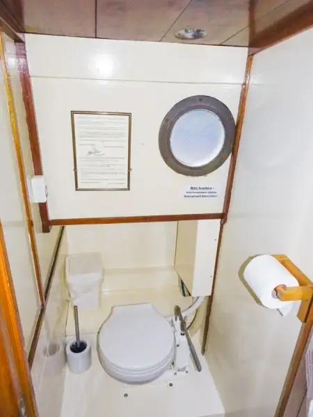 Tàu chở hàng rời để bán