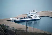 Tàu đổ bộ, chở hàng để bán