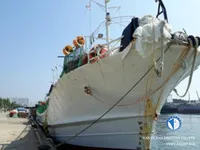 Tàu câu mực để bán