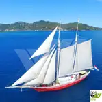 Tàu du lịch rao bán