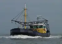 Tàu kéo lưới để bán
