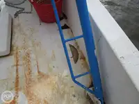 Tàu kéo lưới để bán