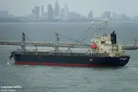Tàu chở hàng rời để bán