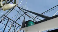 Tàu kéo lưới để bán