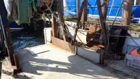 Tàu kéo lưới để bán