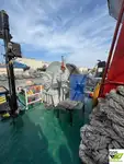 Tàu kéo để bán