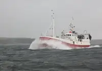 Trawler rao bán