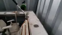 Tàu kéo lưới để bán